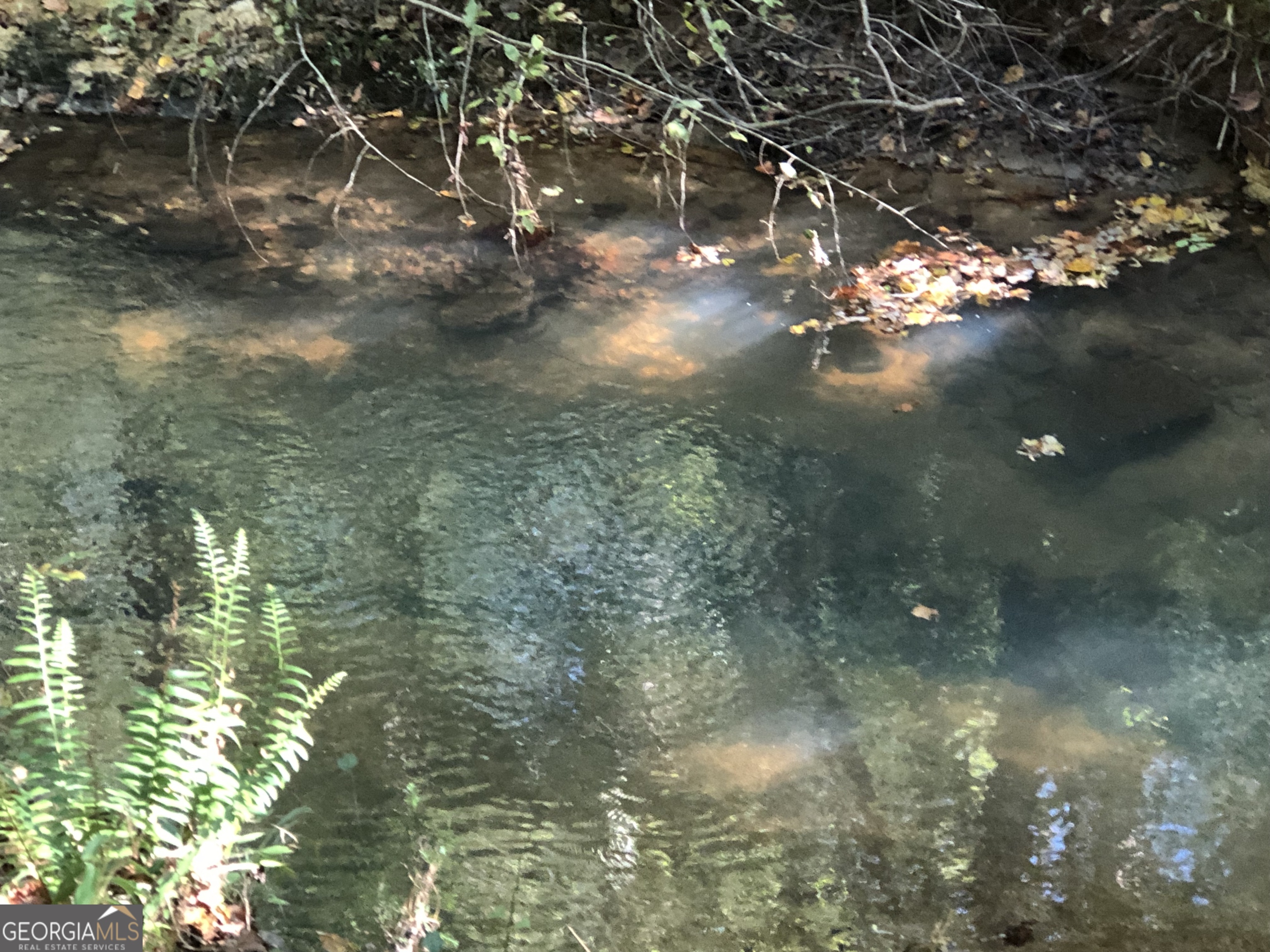 Lot 10 Triune Mill Road Thomaston, GA 30286 - Photo 30 of 30 Pool of Water in creek, could be your swimming hole.