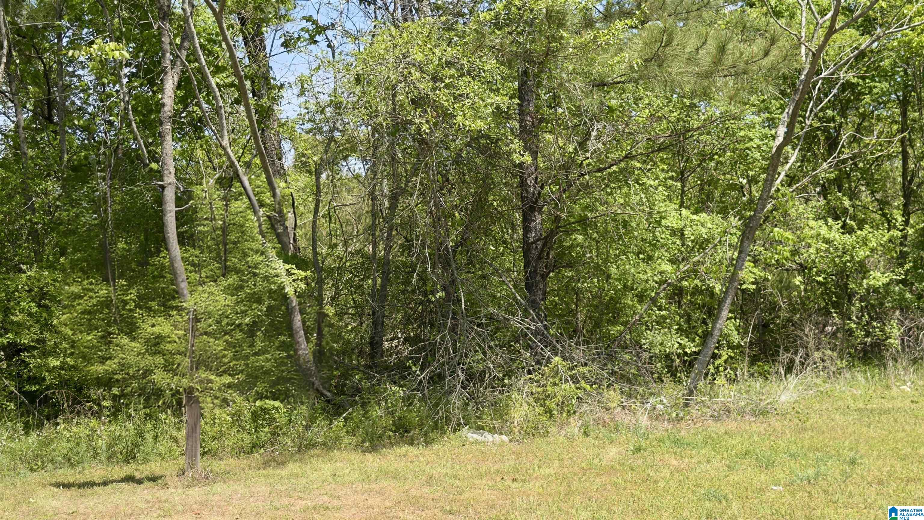 2111 Decatur Highway Fultondale, AL 35068 - Photo 4 of 13