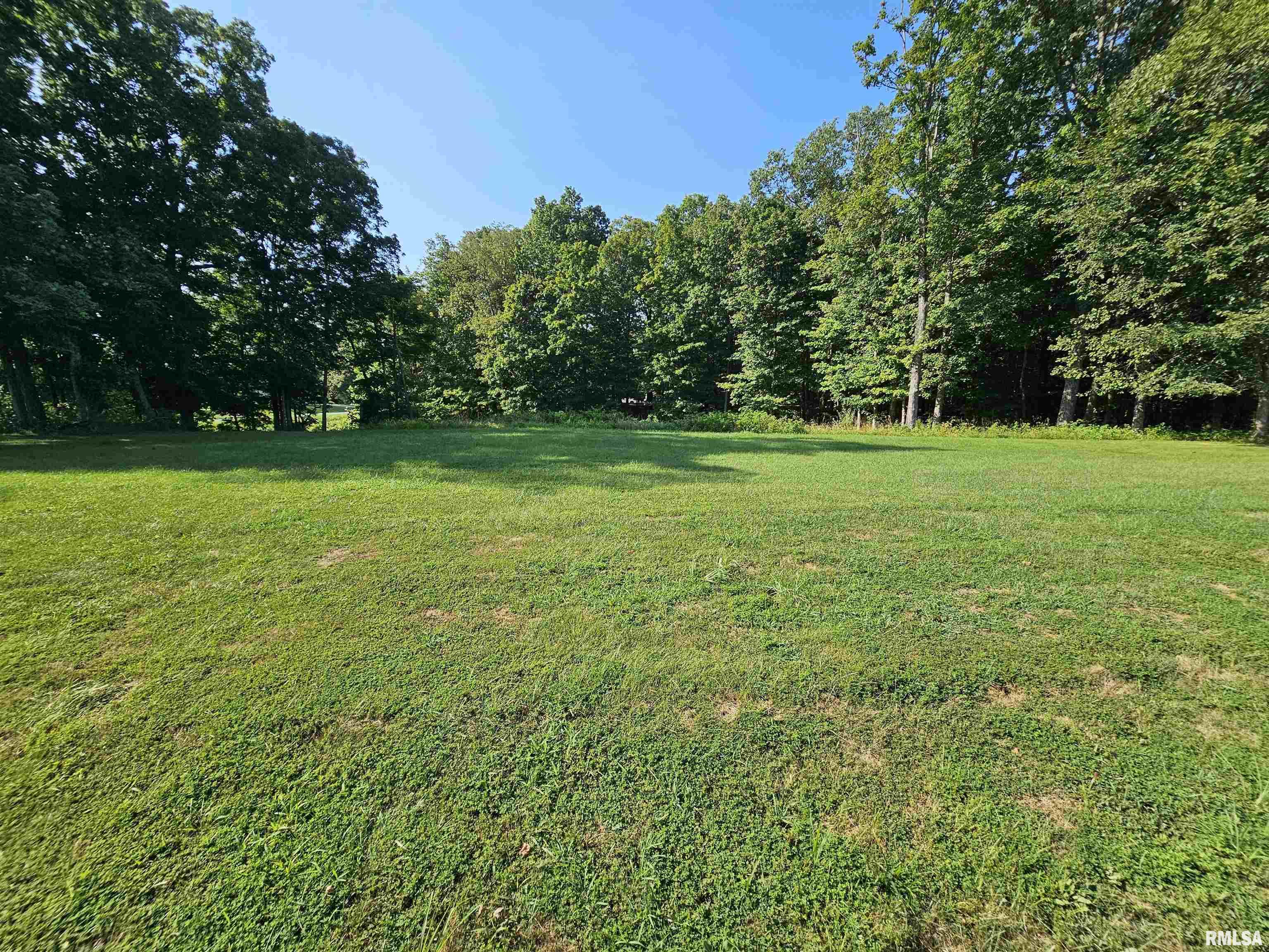 Lot 1 East Whippoorwill Road Mount Vernon, IL 62864 - Photo 8 of 10 Gallery Image 8