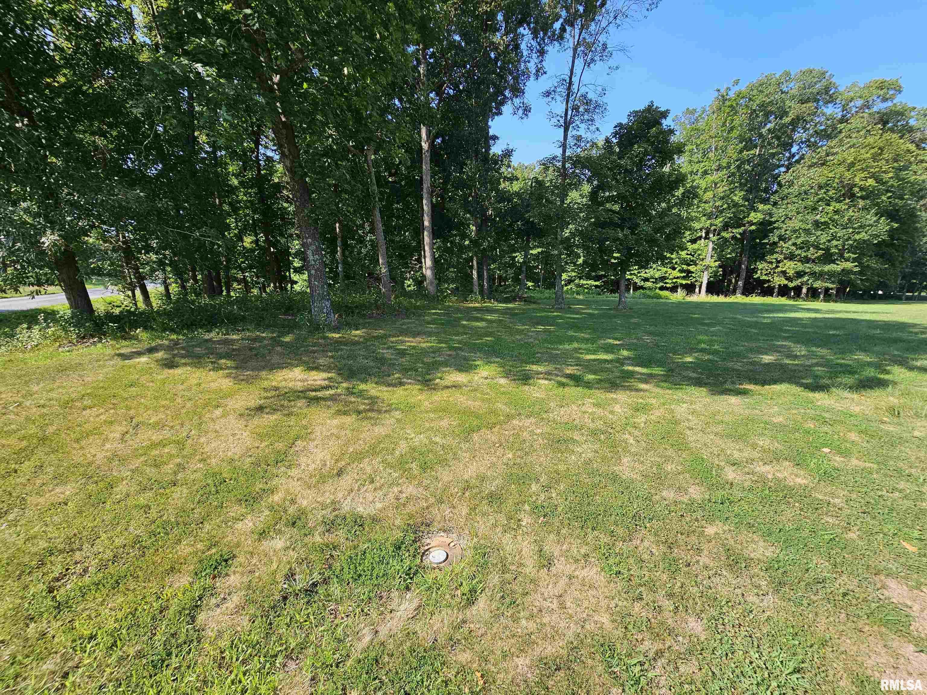 Lot 1 East Whippoorwill Road Mount Vernon, IL 62864 - Photo 10 of 10 Gallery Image 10