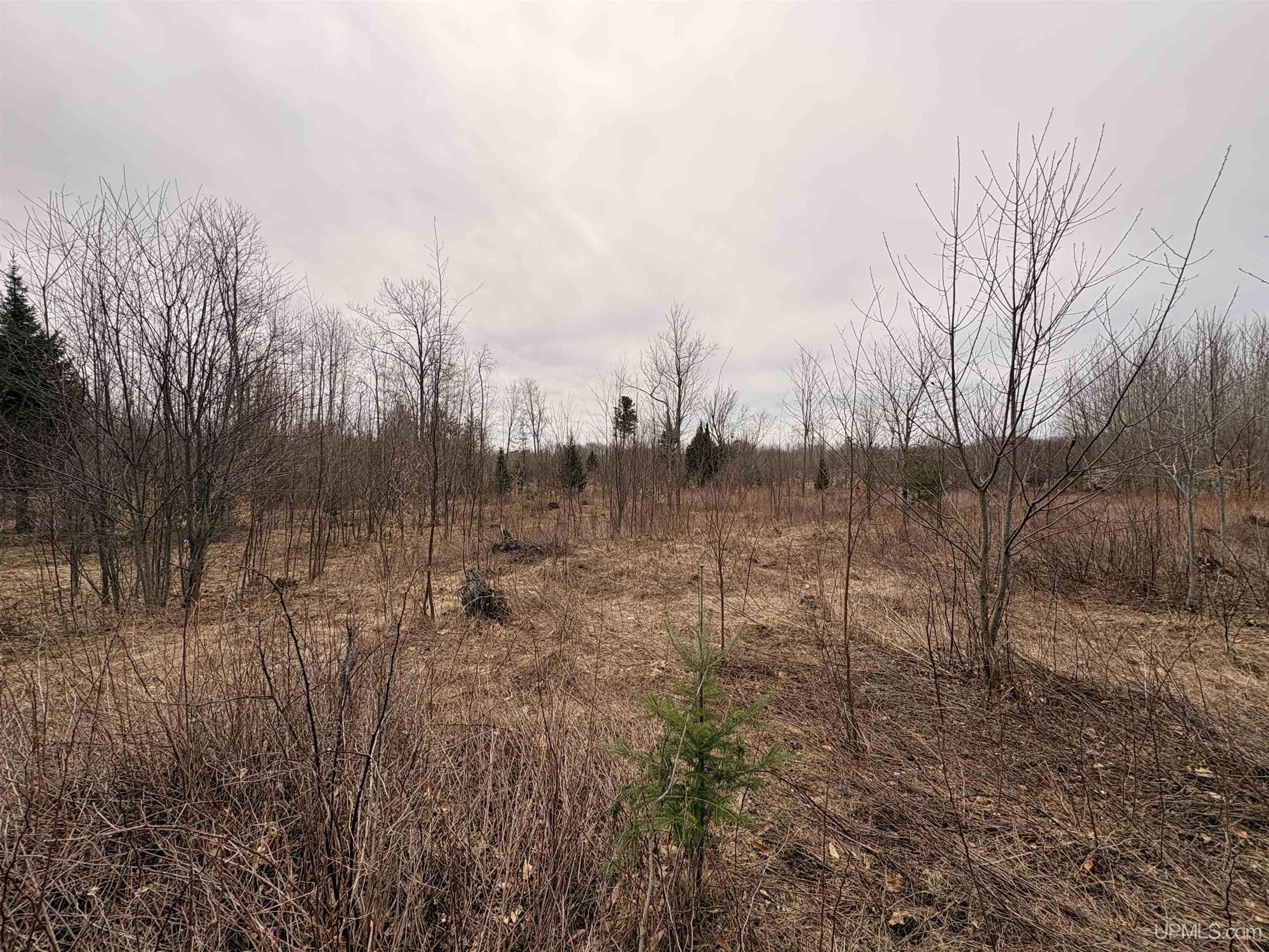 Tbd Tbd County Road Rapid River, MI 49878 - Photo 5 of 11