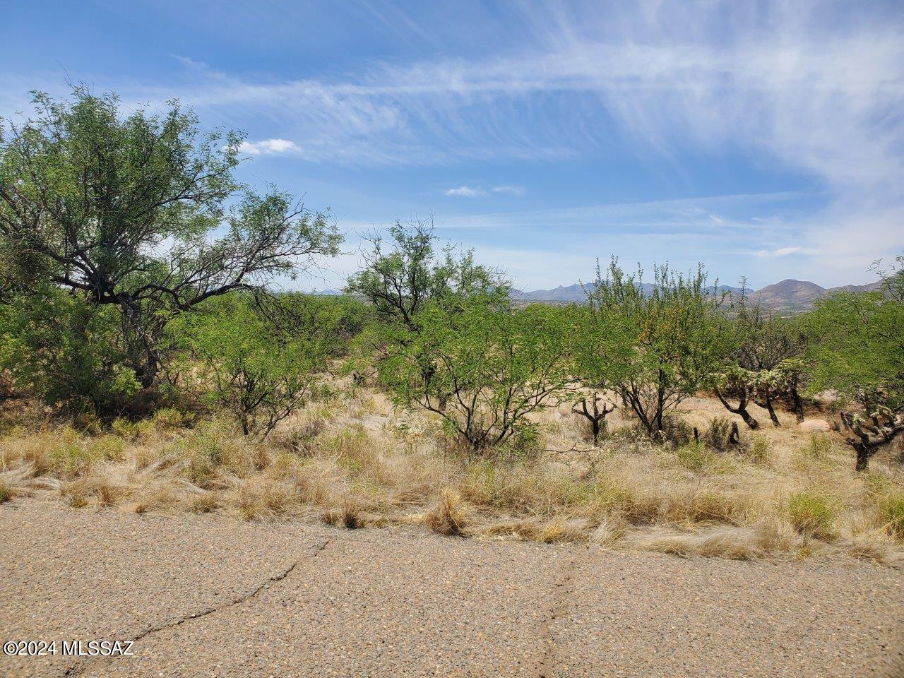 1781 Circulo Corona Rio Rico, AZ 85648 - Photo 3 of 29