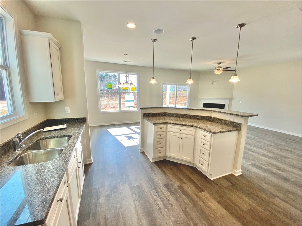 316 Phillips Drive Pendleton, SC 29670 - Photo 9 of 25