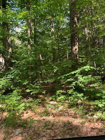 0 Harris Road Ashburnham, MA 01430 - Photo 1 of 5 Gallery Image 1