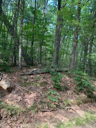 0 Harris Road Ashburnham, MA 01430 - Photo 2 of 5 Gallery Image 2