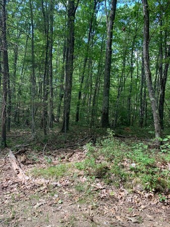 0 Harris Road Ashburnham, MA 01430 - Photo 3 of 5 Gallery Image 3