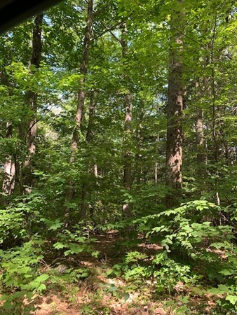 0 Harris Road Ashburnham, MA 01430 - Photo 5 of 5 Gallery Image 5