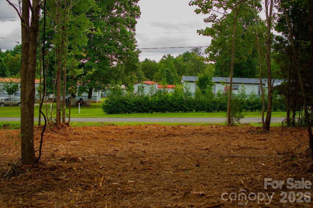 3 Erwin Temple Church Road Woodleaf, NC 27054 - Photo 3 of 7 a view of a park