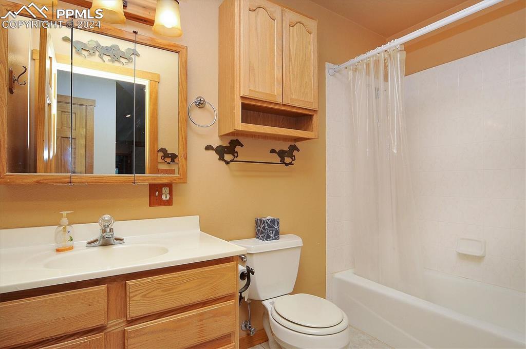 1204 Hitching Post Road Cotopaxi, CO 81223 - Photo 19 of 49 a bathroom with a sink a toilet a mirror and shower