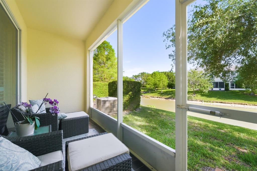 336 Harbor Ridge Drive Palm Harbor, FL 34683 - Photo 21 of 28