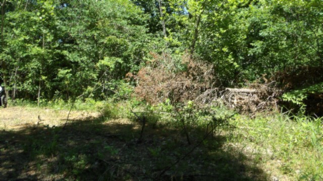 46 Billy Westmoreland Road Celina, TN 38551 - Photo 12 of 83