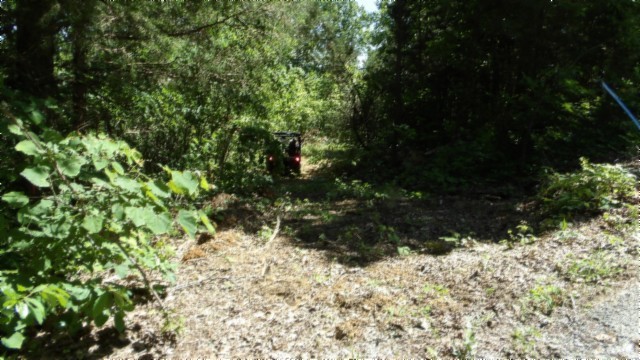 46 Billy Westmoreland Road Celina, TN 38551 - Photo 23 of 83