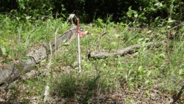 46 Billy Westmoreland Road Celina, TN 38551 - Photo 36 of 83