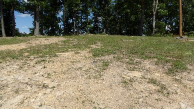 46 Billy Westmoreland Road Celina, TN 38551 - Photo 39 of 83 a view of outdoor space with trees
