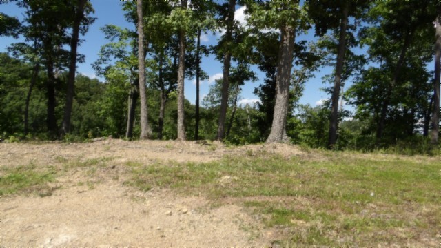 46 Billy Westmoreland Road Celina, TN 38551 - Photo 41 of 83