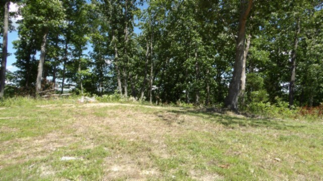 46 Billy Westmoreland Road Celina, TN 38551 - Photo 42 of 83 a view of outdoor space with trees