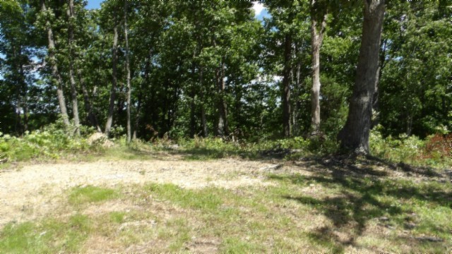 46 Billy Westmoreland Road Celina, TN 38551 - Photo 44 of 83
