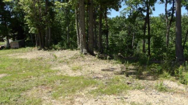 46 Billy Westmoreland Road Celina, TN 38551 - Photo 45 of 83