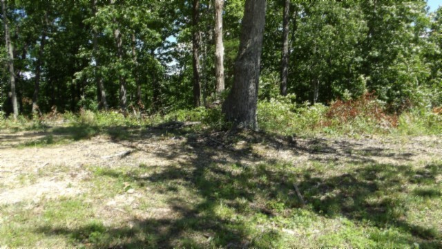 46 Billy Westmoreland Road Celina, TN 38551 - Photo 47 of 83