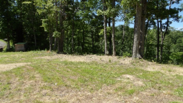 46 Billy Westmoreland Road Celina, TN 38551 - Photo 48 of 83