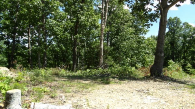 46 Billy Westmoreland Road Celina, TN 38551 - Photo 50 of 83 a view of outdoor space and a yard