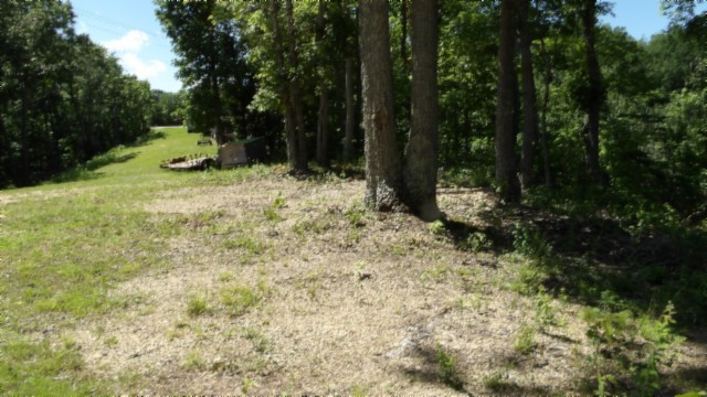 46 Billy Westmoreland Road Celina, TN 38551 - Photo 51 of 83 a view of a garden with trees