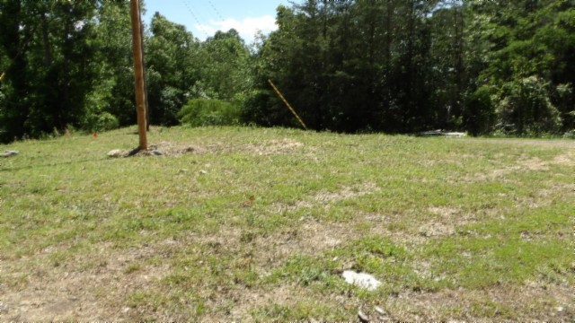 46 Billy Westmoreland Road Celina, TN 38551 - Photo 52 of 83 a backyard of a house with lots of green space