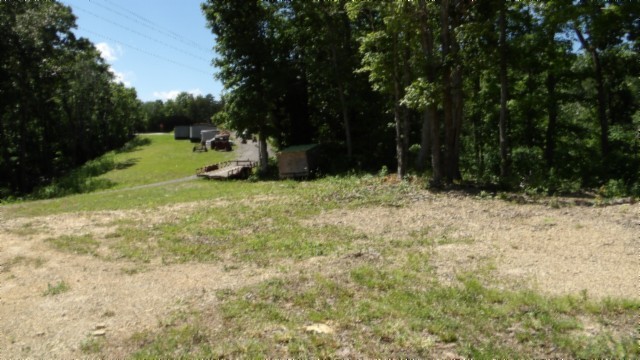 46 Billy Westmoreland Road Celina, TN 38551 - Photo 53 of 83 a view of a field with a tree