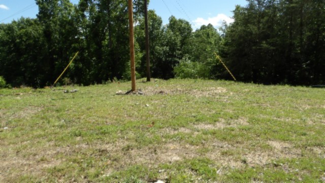 46 Billy Westmoreland Road Celina, TN 38551 - Photo 55 of 83 a backyard of a house with a large tree