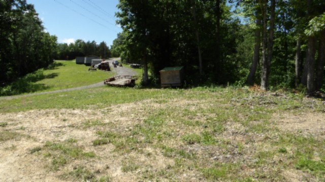 46 Billy Westmoreland Road Celina, TN 38551 - Photo 56 of 83 a view of a yard with large trees