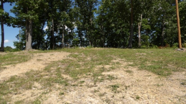 46 Billy Westmoreland Road Celina, TN 38551 - Photo 57 of 83 a view of backyard with green space