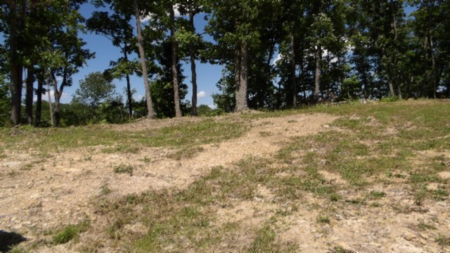 46 Billy Westmoreland Road Celina, TN 38551 - Photo 59 of 83 a view of outdoor space with trees
