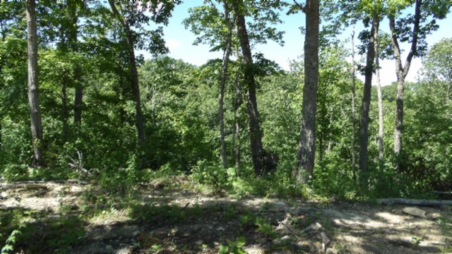 46 Billy Westmoreland Road Celina, TN 38551 - Photo 62 of 83