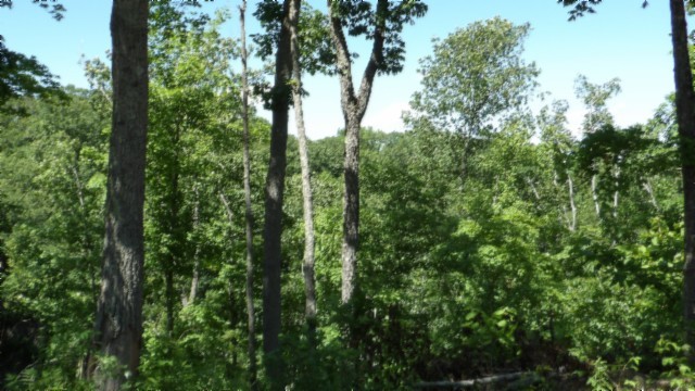 46 Billy Westmoreland Road Celina, TN 38551 - Photo 64 of 83