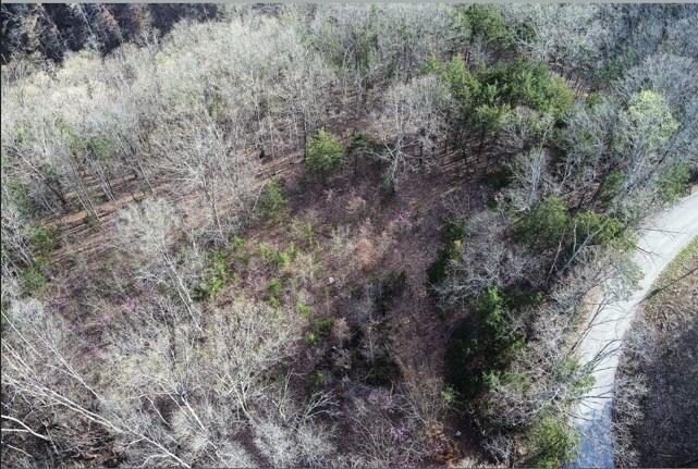 46 Billy Westmoreland Road Celina, TN 38551 - Photo 70 of 83