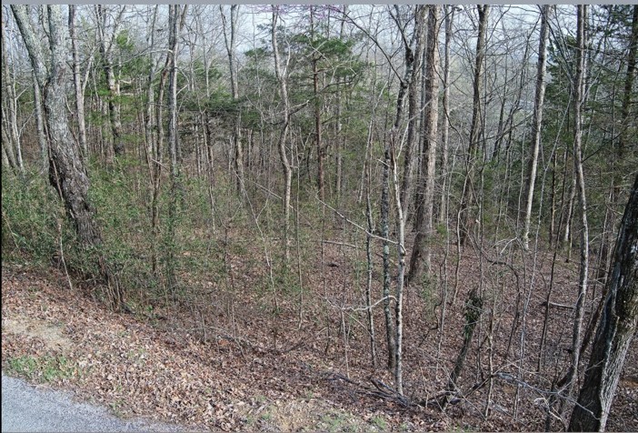 46 Billy Westmoreland Road Celina, TN 38551 - Photo 71 of 83 a view of a house with a dry yard
