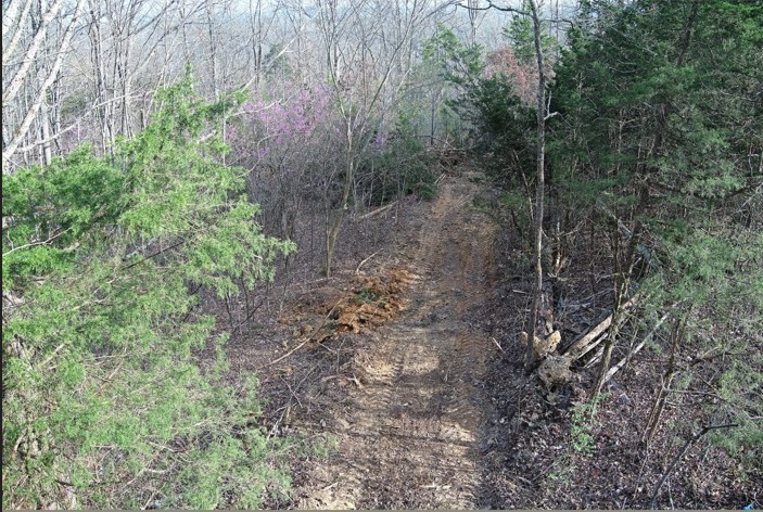 46 Billy Westmoreland Road Celina, TN 38551 - Photo 74 of 83 a view of a forest with trees in the background