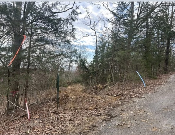 46 Billy Westmoreland Road Celina, TN 38551 - Photo 78 of 83 a view of a dry yard with trees