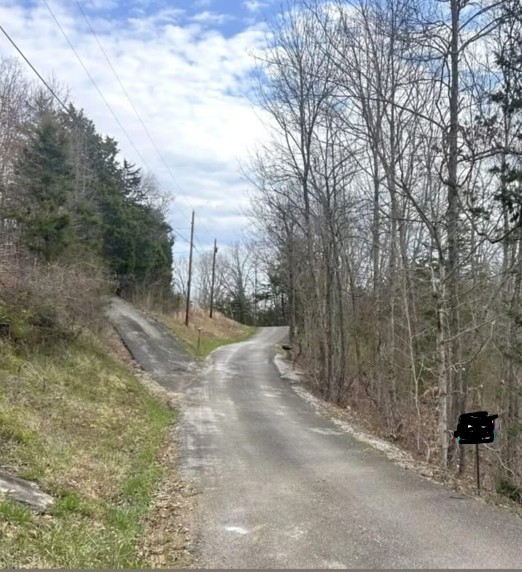 46 Billy Westmoreland Road Celina, TN 38551 - Photo 79 of 83 a view of a road with large trees