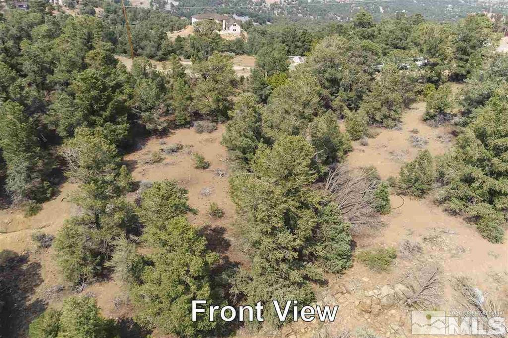 21455 Saddleback Road Reno, NV 89521 - Photo 2 of 8 a view of a yard covered with trees
