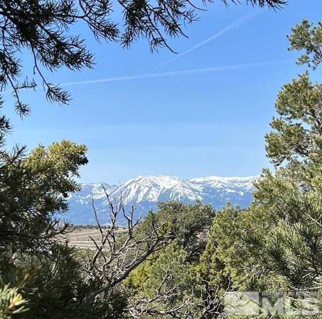21455 Saddleback Road Reno, NV 89521 - Photo 7 of 8 a view of outside area