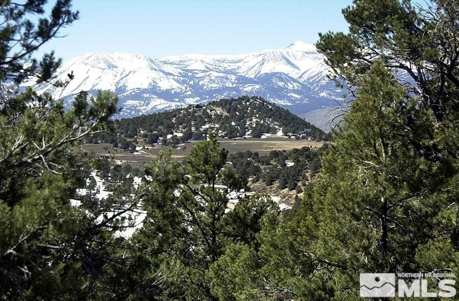 21455 Saddleback Road Reno, NV 89521 - Photo 8 of 8 a view of a city with lots of tree