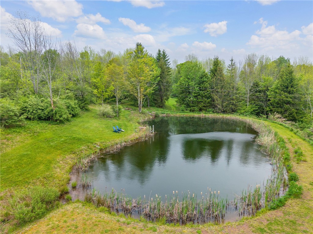 133 Hinman Road Unadilla, NY 13849 - Photo 3 of 40