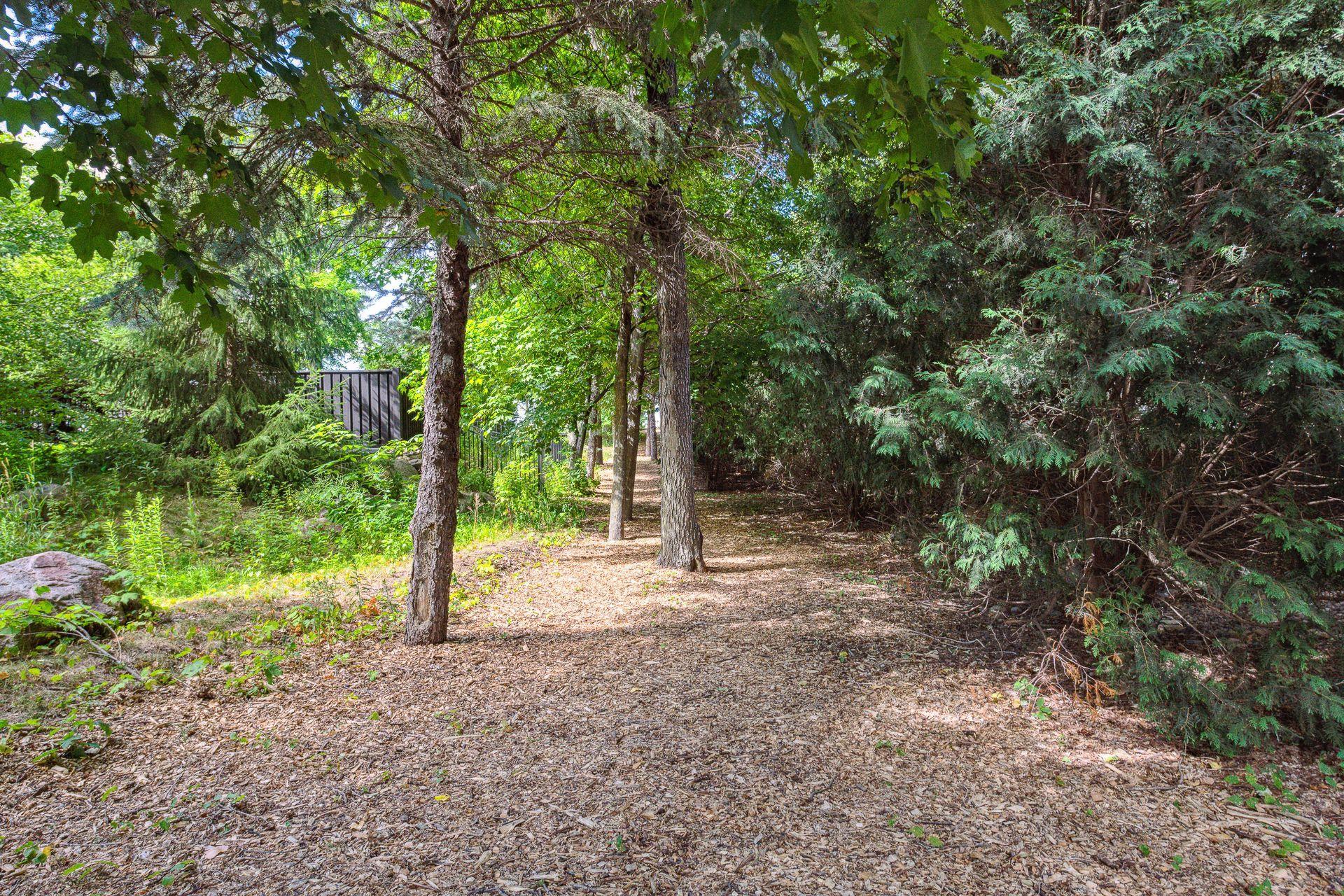 6417 Virginia Drive Victoria, MN 55331 - Photo 83 of 96