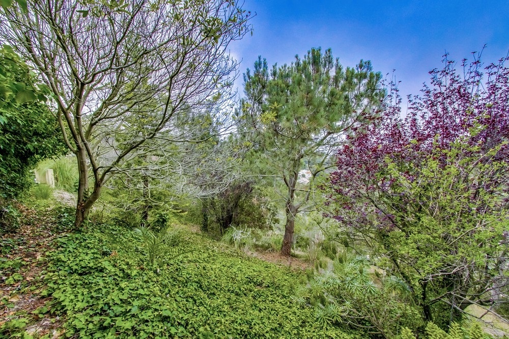 1768 El Paso Real La Jolla, CA 92037 - Photo 24 of 25