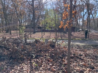2096 Wolpers Road Park Forest, IL 60466 - Photo 11 of 17 a view of a yard with trees