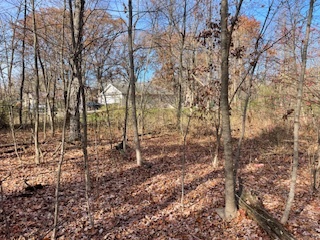 2096 Wolpers Road Park Forest, IL 60466 - Photo 12 of 17 a view of a yard with trees