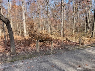 2096 Wolpers Road Park Forest, IL 60466 - Photo 15 of 17 a view of a yard with lots of bushes