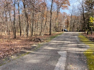 2096 Wolpers Road Park Forest, IL 60466 - Photo 16 of 17 a view of road and trees
