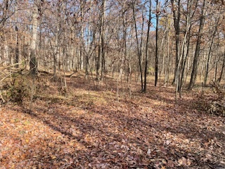 2096 Wolpers Road Park Forest, IL 60466 - Photo 17 of 17 a view of empty room with tree s
